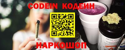 гашик Можга