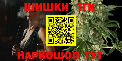 гашик Можга