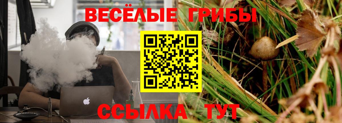 Псилоцибиновые грибы Psilocybe  Вход с VPN  Северобайкальск  Псилоцибиновые грибы ЛСД 